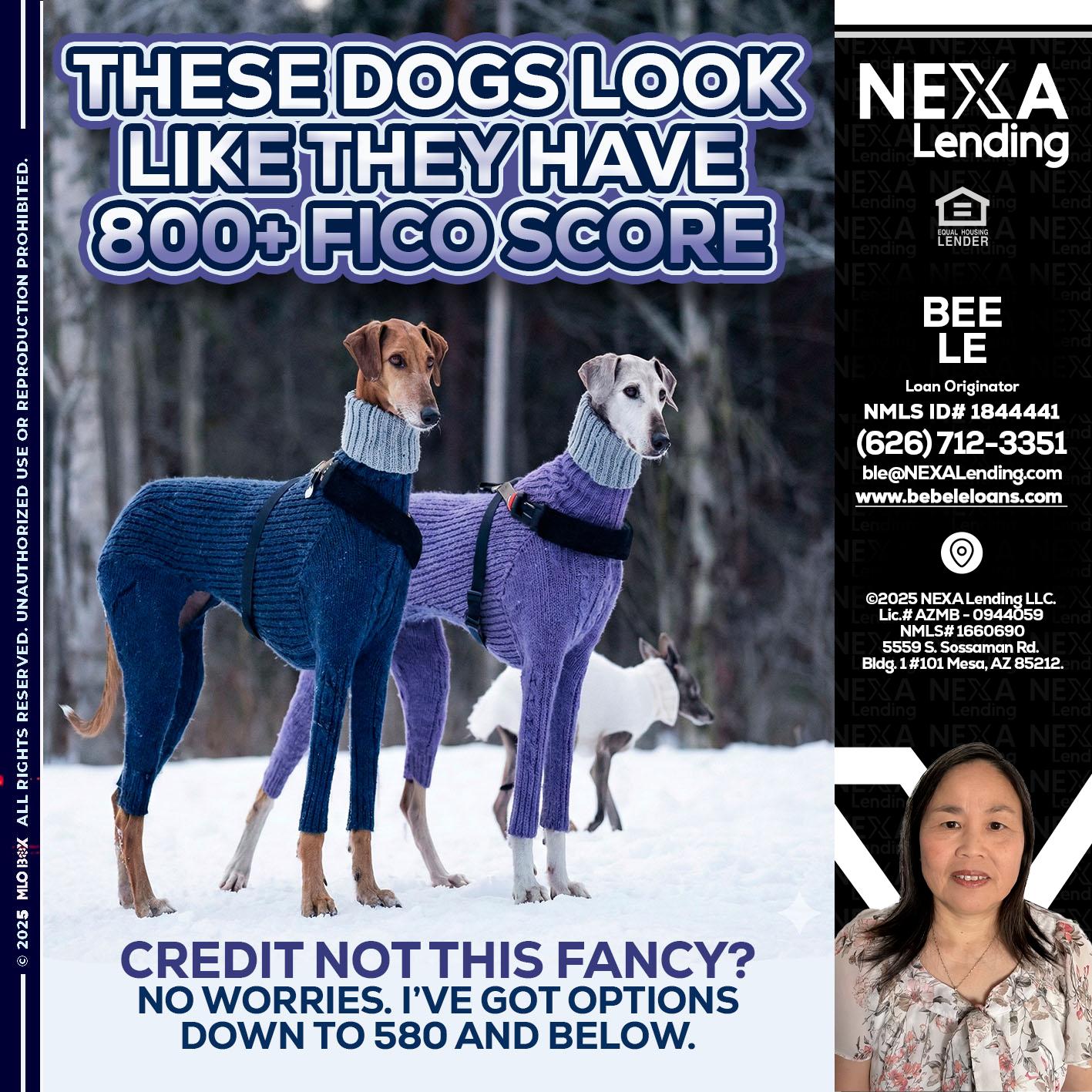 THESE DOGS LOOK - Bebe Le- Serving California -Loan Originator